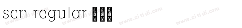 scn regular字体转换